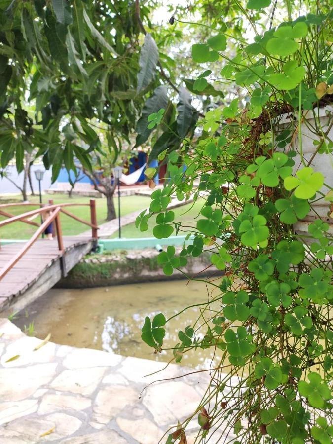 Cores Do Cerrado - Chales E Suites Goias Exterior photo